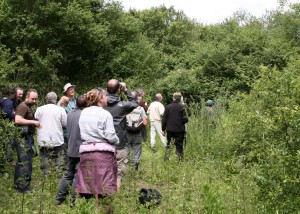 Many searching eyes at Site 2 - David Newland