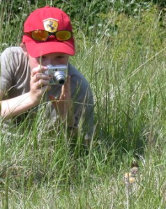 Hazel photographing Dingy Skippers