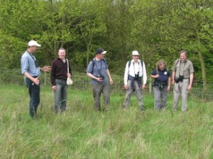 Hunting for Grizzled Skipper - Richard Bigg