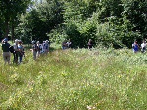 Out and about in Thrift Wood - Vince Lea