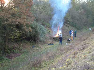 Dunmow Railway Cutting - Tony Moverley