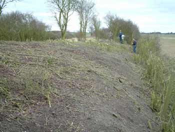 Over Railway Cutting 2006 - Tony Moverley