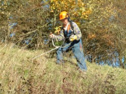 Dunmow Railway Cutting - Tony Moverley