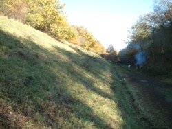 Dunmow Railway Cutting - Tony Moverley